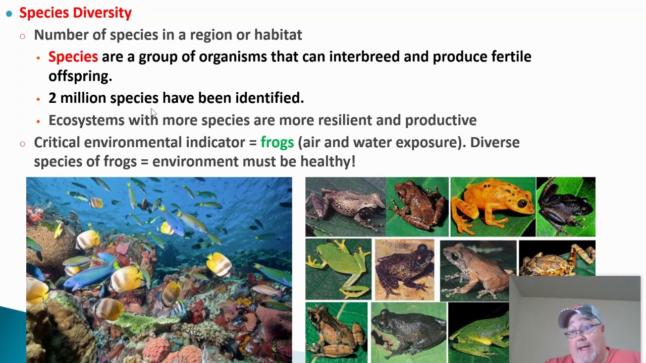 Environmental Indicators