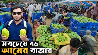 উত্তরবঙ্গের সবচেয়ে বড় আমের বাজার 🥭 বানেশ্বর আমের হাট | কমদামে সস্তায় আম কিনুন Mango Haat