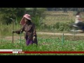 thaksin shinawatra s rural support thailand politics bbc news