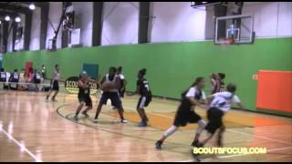 TM19 45     Jenifer Crain    5'6 130    Woodstock HS  IL  2016   Highlights