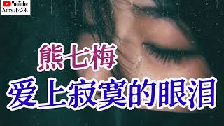 💞【爱上寂寞的眼泪】演唱：熊七梅💞