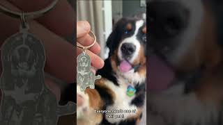 Boldier pet keychain