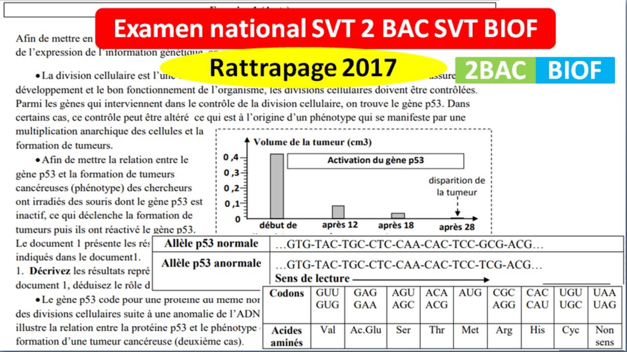 Examen National SVT 2017 Rattrapage 2 Bac Option Français - YouTube