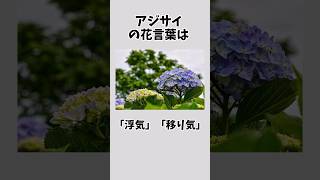 【恐怖】実は怖い意味を持つ花言葉Part2#雑学 #花言葉 #花