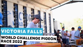 Get to know the Victoria Falls World Challenge Pigeon Race