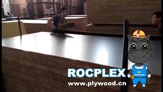 film faced plywood - ROCPLEX