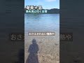 奄美大島　龍郷町☺️🐟️を見に行日常