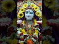 hare krishna🙏🌸sri sri radha veni madhav sringar darshan🌸 iskconprayagraj