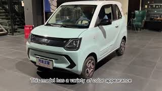 Dongfeng mini EV