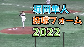 ジャイアンツ堀岡 隼人の投球フォームと球筋 【読売ジャイアンツ対 西武ライオンズ2022年3月2日 東京ドーム】