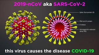 What is COVID-19? (Coronavirus Update)