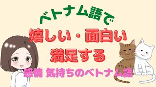 嬉しい 面白い 満足する 感情気持のベトナム語