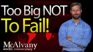 The FED’s $4 Trillion Trap | Too Big Not To Fail | McAlvany Commentary 2014