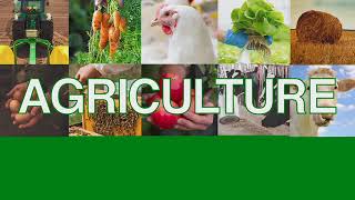 Agricultural Careers