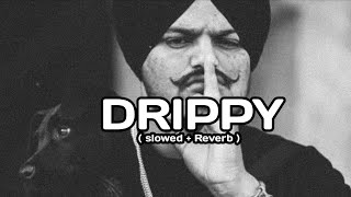 Drippy (OFFicial Video) | Sidhu MooseWala | Mxrci| AR Paisley (@OGMusic47