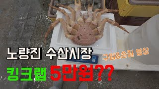 노량진 수산시장 킹크랩 5만원??  저렴하게 구입하기 \u0026 손질 영상