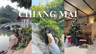 Last Trip in Life : Vlog - 7Days Trip to Chiang Mai, Phitsanulok, Mae Kampong Village, reviews \u0026 etc