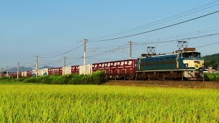 山陽本線 西高屋駅付近を行く貨物列車 (2014.9.28)