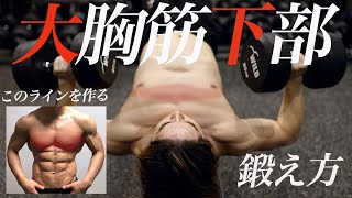 大胸筋下部の鍛え方！ダンベル２種目だけでも十分発達する。中級プログラムを分かりやすくご紹介。