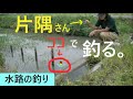 水路で小物釣りを楽しむ【埼玉県】☆smallfishing in Saitama  Japan☆