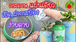 diy กระถางต้นไม้ วิธี เปิดฝากระป๋อง ง่ายๆ ปลูก ไม้อวบน้ำ กุหลาบหิน แคคตัส สวยมากๆ/เล่าสู่อู้กำเมือง