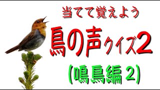 鳥の声クイズ 2. 鳴鳥編2