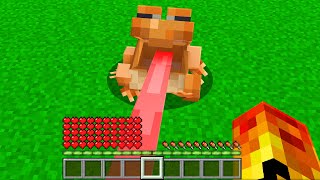 FUI ENGOLIDO POR UM SAPO NO MINECRAFT