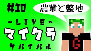 【マイクラ】生サバイバル　#10