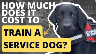 Cost of Service Dog Training