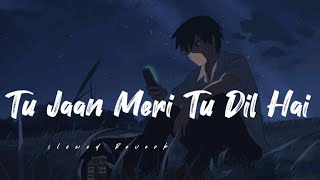Tu Jaan Meri Tu Dil Hai (slowed Reverb) song lyrics ❤️