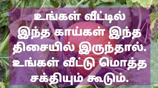 உங்கள் வீட்டில் இந்த காய்கள் இந்த திசையில் இருந்தால். உங்கள் வீட்டு மொத்த சக்தியும் கூடும்.