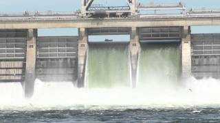 Boating Safety Near Dams