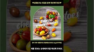 컬러 대추 방울토마토 탱글탱글 토마토 1kg [산지직송], 2kg [1+1구매 시 3,000원 할인] 높은 판매량 추천 #shorts 내돈내산