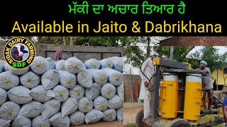 Silage for sale, ਮੱਕੀ ਦਾ ਅਚਾਰ ਤਿਆਰ ਹੈ ਵਰਤਣ ਲਈ