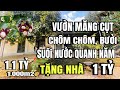 Anh bình kẹt tiền bán gấp, vườn đủ loại trái cây, suối nước quanh năm, cẩm mỹ đồng Nai