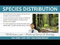 Ecology - Species Distribution Fieldwork - GCSE Biology (9-1)