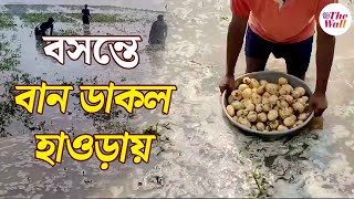 Howrah News | West Bengal Farming | বোরো চাষের জন্য ডিভিসির ছাড়া জলে ভাসল উদয়নারায়ণপুর