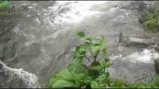 Vazhachaal Falls Athirappilly