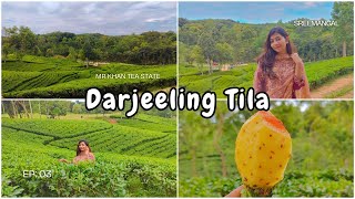 Exploring the Beauty of Darjeeling Tila 🌿 | Sreemangal | Rashidpur Gas Field | Ep: 03