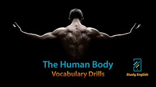 English Vocabulary Drills - Human Body