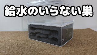 【アリの飼育記2冊目＃65】半永久的に給水のいらない巣⁉【アリの巣の作り方】