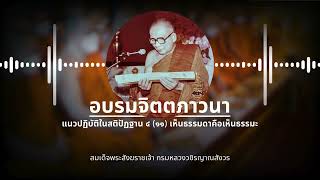 อบรมจิตตภาวนา: แนวปฏิบัติในสติปัฏฐาน ๔ ตอนที่ ๑๑ เห็นธรรมดาคือเห็นธรรมะ