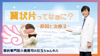 翼状片ってなぁに？ー原因と治療法ー