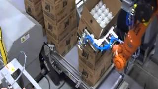 Dyco Robotic Open Flap Box Stacking