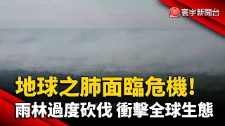 地球之肺面臨危機! 亞馬遜雨林過度砍伐 衝擊全球生態｜#寰宇新聞