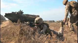 Marines Team Up for Amphibious Operations at Camp Pendleton