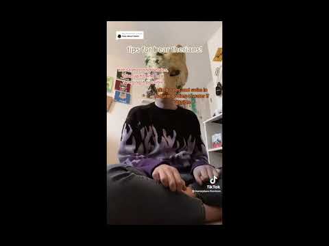 Therian Quadrobics Compilation 1 Youtube