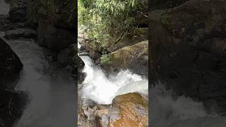 vellaramchitta tunnel and waterfalls #vagamon #kerala #tourism | mrandmrsbharathy