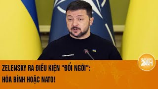 Zelensky ra điều kiện \