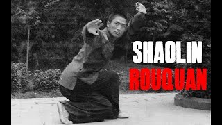 羅漢十三式 SHAOLIN SOFT FIST LUOHAN SHI SAN SHI